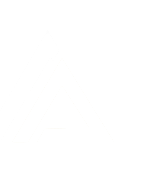Isotipo de Transportadora Delta