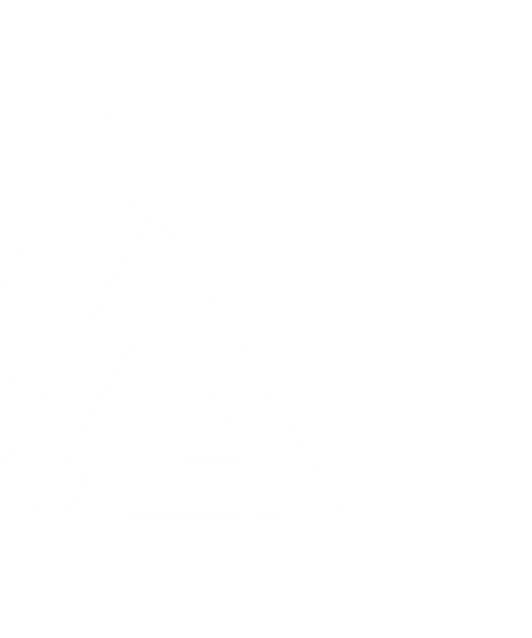 Isotipo de Transportadora Delta
